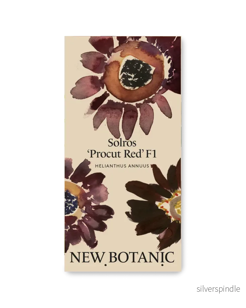 Solros ’Procut Red’ F1 – Nyhet! Solros ’Procut Red’ F1 – Nyhet!