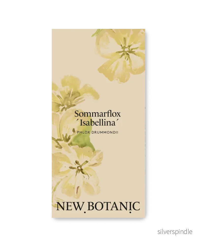 Sommarflox ´Isabellina´
