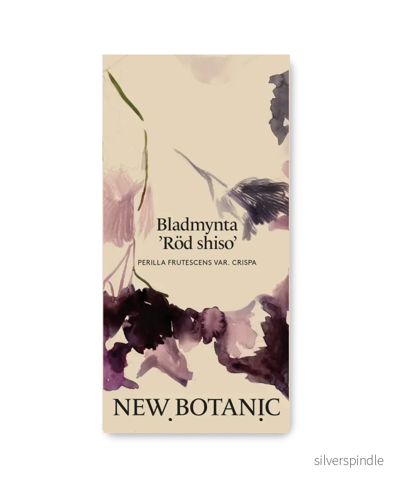 Bladmynta 'Röd shiso’ - Nyhet!
