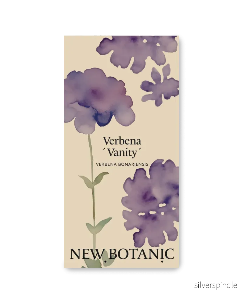 Verbena ’Vanity’ Verbena ’Vanity’