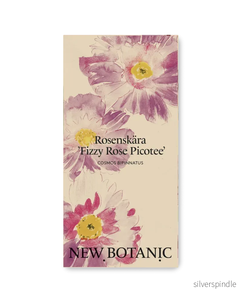 Rosenskära 'Fizzy Rose Picotee' - Nyhet!