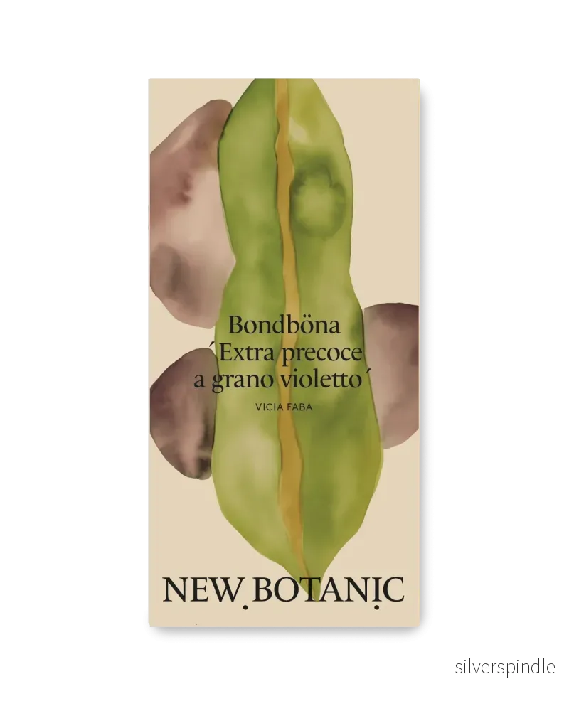 Bondböna ’Extra precoce a grano violetto’ – Nyhet! Bondböna ’Extra precoce a grano violetto’ – Nyhet!