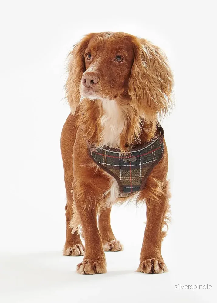 Barbour Travel & Exercise Harness - Bild 2