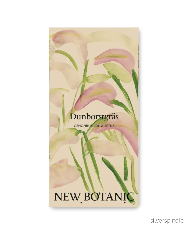Dunborstgräs – Nyhet! Dunborstgräs – Nyhet!