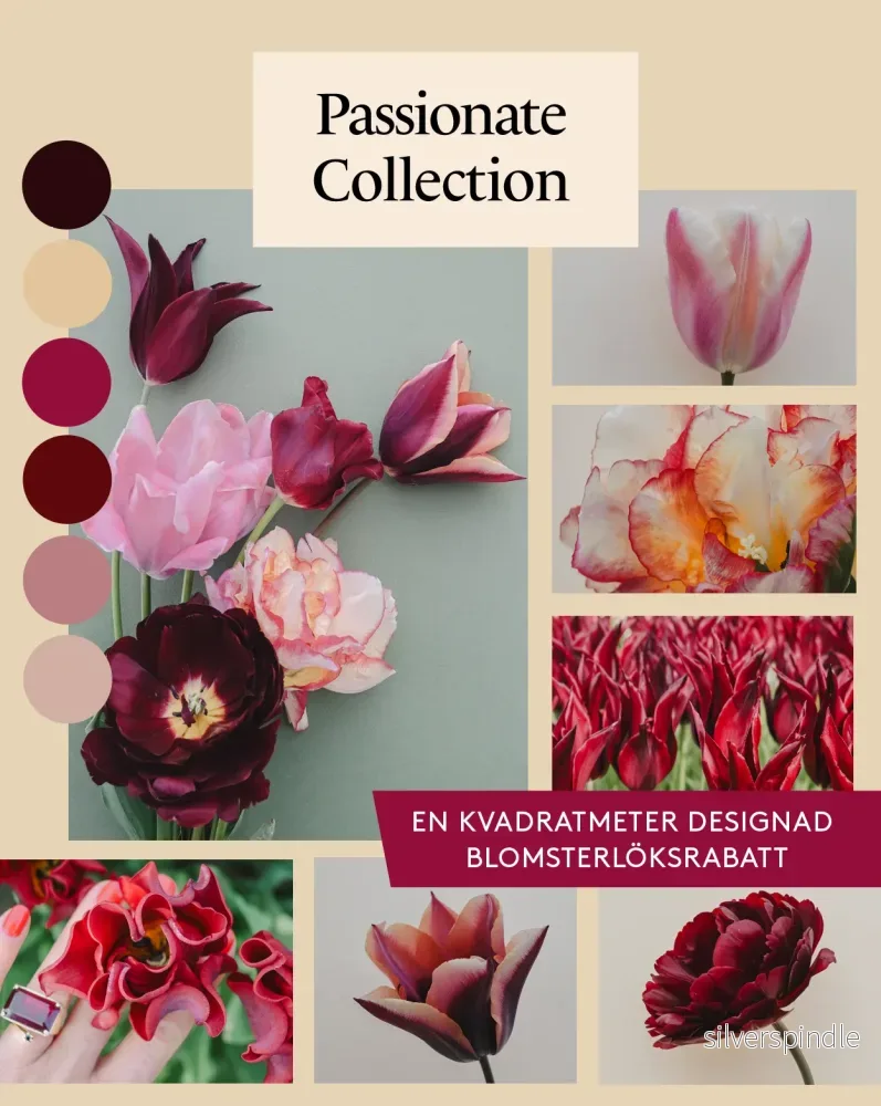 Passionate Collection – designad blomsterlöksrabatt