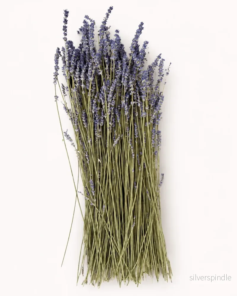 Torkad lavendel