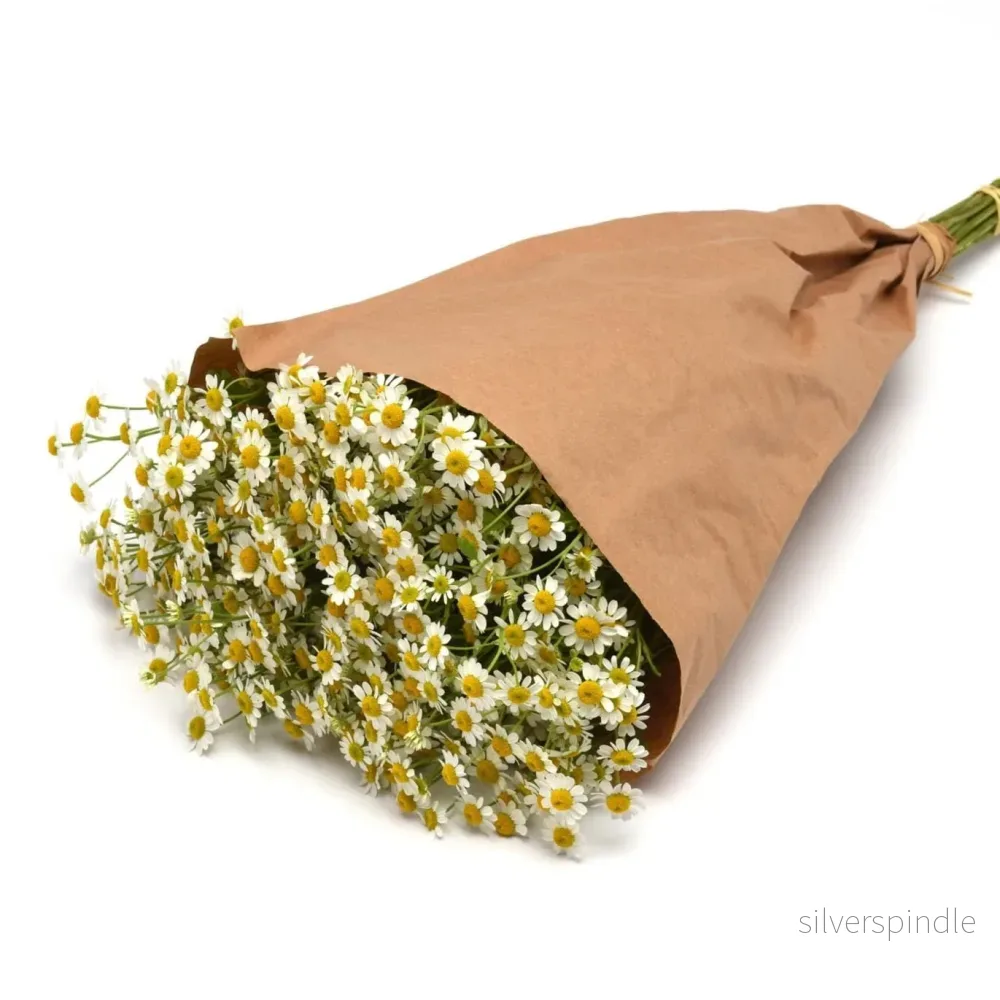Mattram 'Vegmo Single' - Bild 3