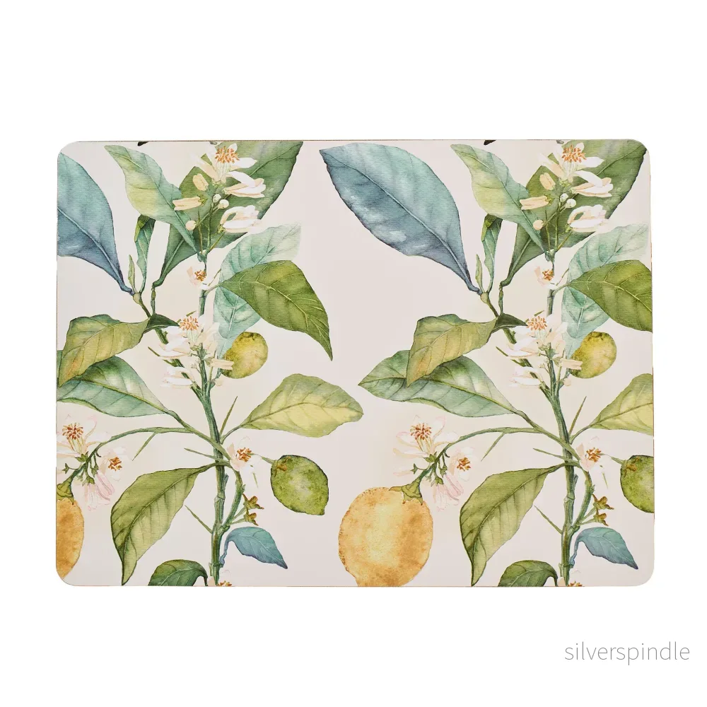 Citrus 4-pack bordstabletter