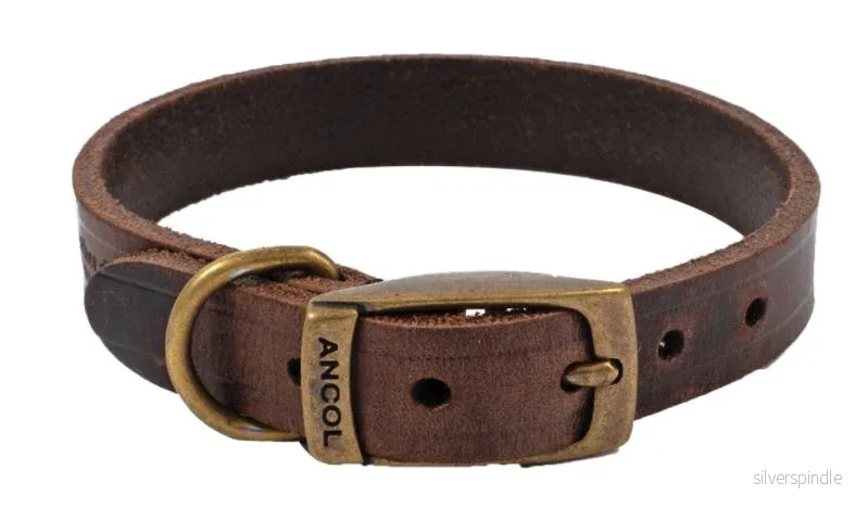 Bisley hundhalsband läder Bisley hundhalsband läder