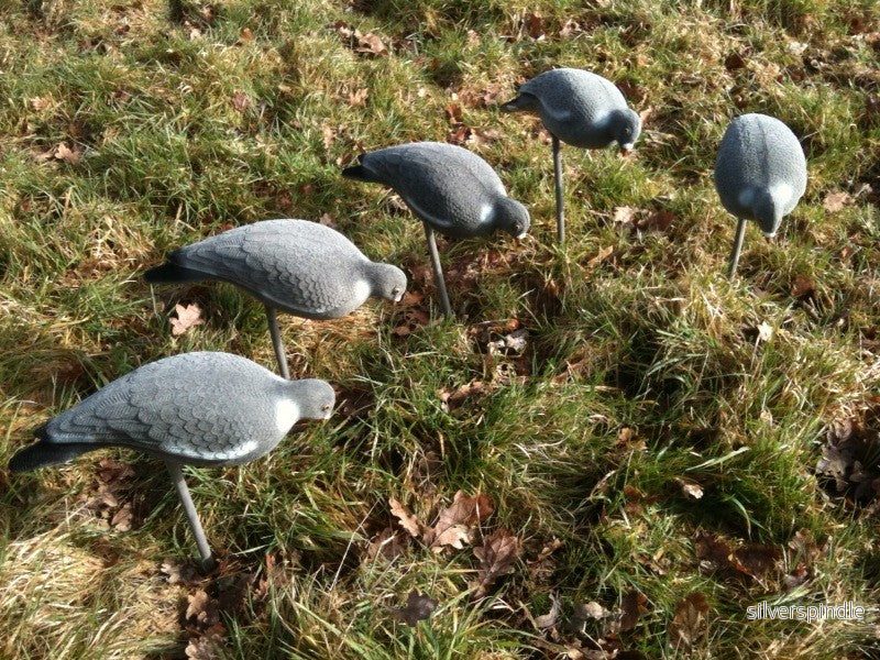 A1 Decoys - Premium flockad duvbulvan ätande - Bild 3