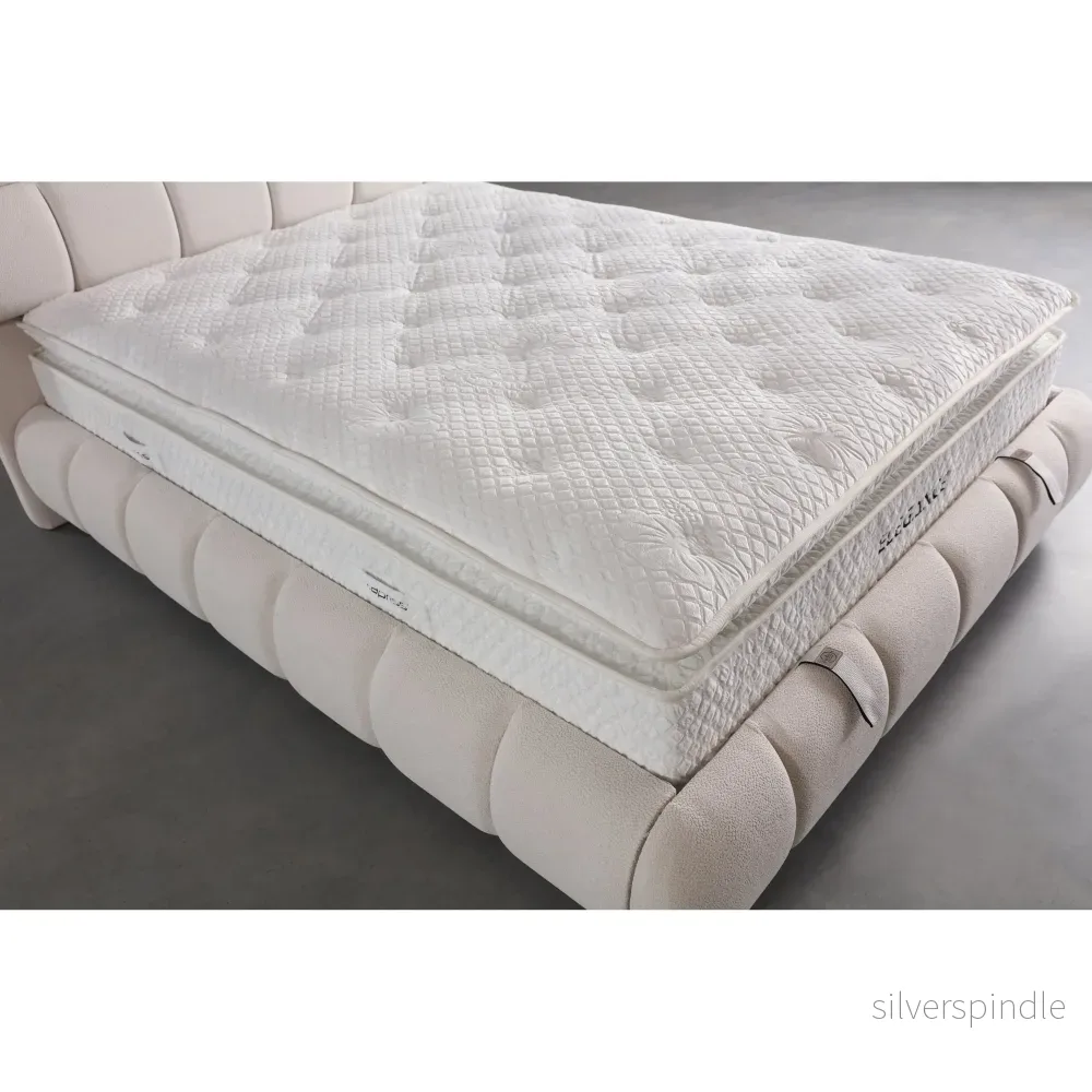 Elegance Plus Madrass - Bild 2