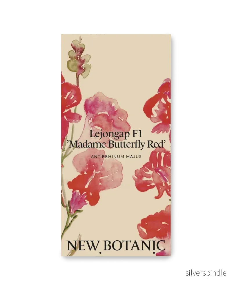 Lejongap 'Madame Butterfly Red' F1 - Nyhet!