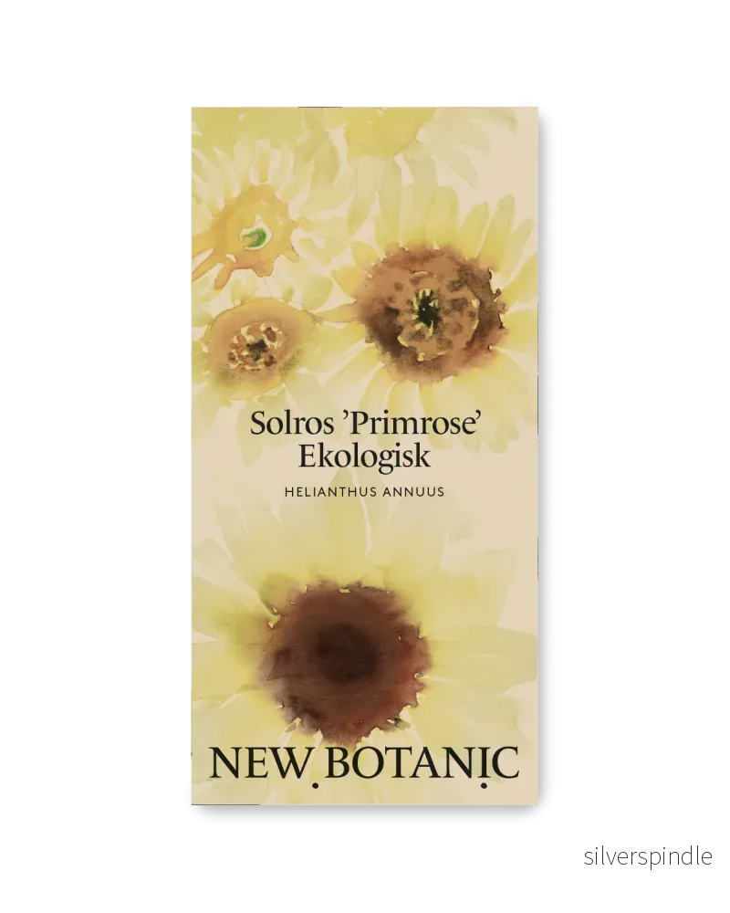 Solros ’Primrose’ Ekologisk – Nyhet!