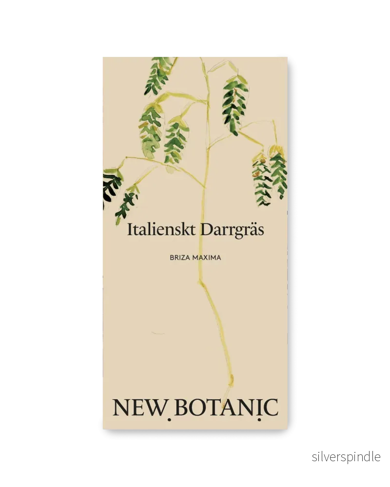 Italienskt Darrgräs Italienskt Darrgräs