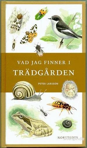Vad jag finner i trädgården