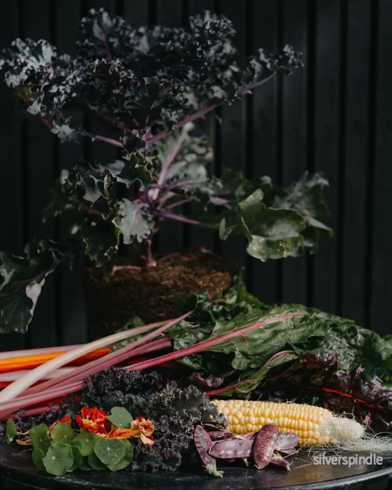 Garden Deco Collection – till den som drömmer om en vacker köksträdgård Garden Deco Collection – till den som drömmer om en vacker köksträdgård