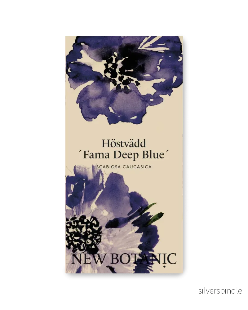 Höstvädd ´Fama Deep Blue´