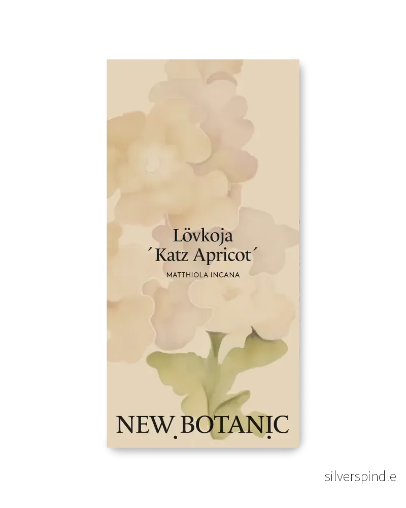 Lövkoja ’Katz Apricot’ Lövkoja ’Katz Apricot’
