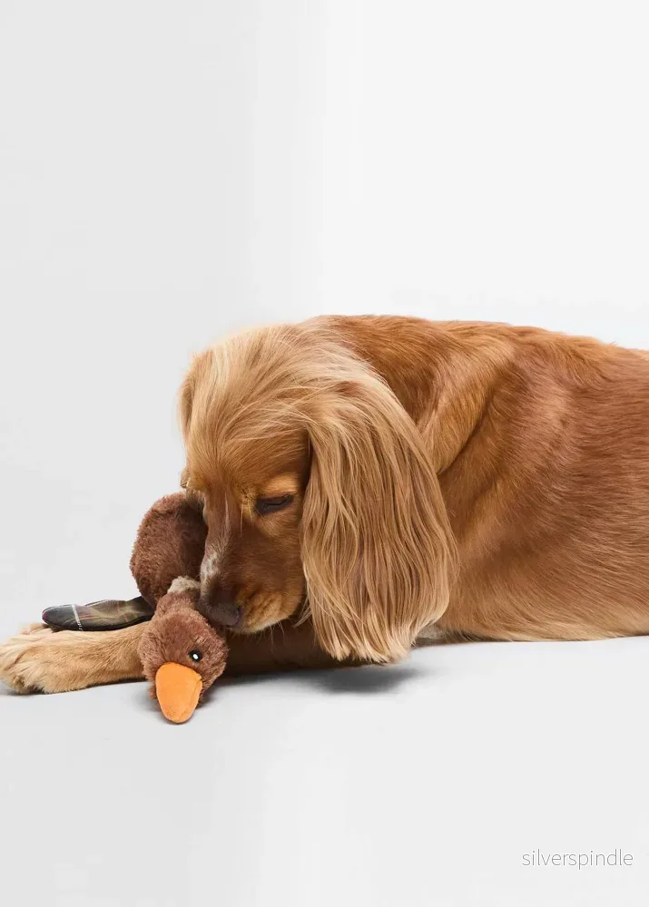 Barbour Flying Duck Dog Toy Brown Barbour Flying Duck Dog Toy Brown