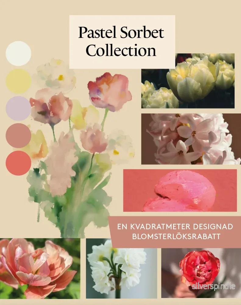 Pastel Sorbet Collection – designad blomsterlöksrabatt