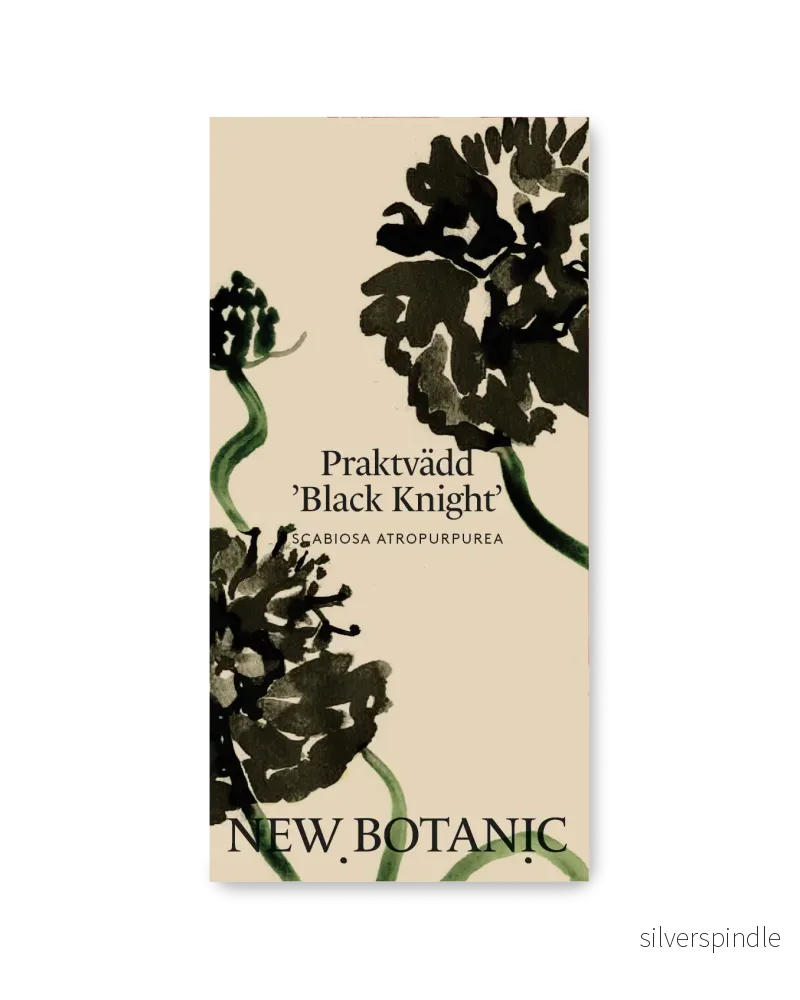 Praktvädd 'Black Knight' - Nyhet!
