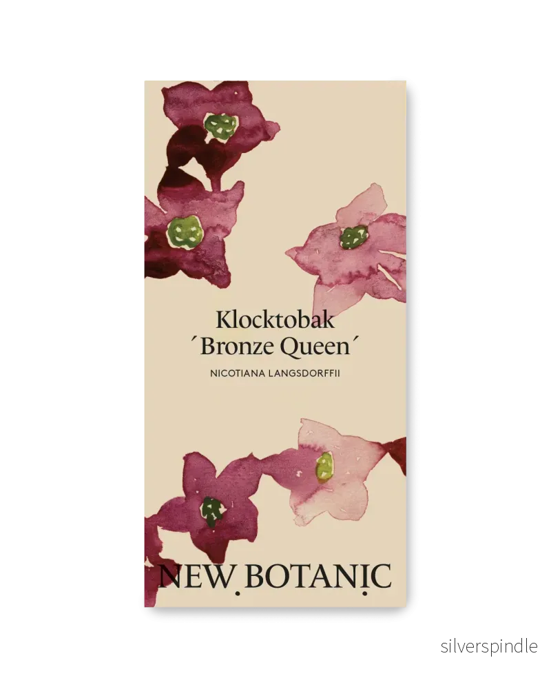 Klocktobak ’Bronze Queen’ Klocktobak ’Bronze Queen’