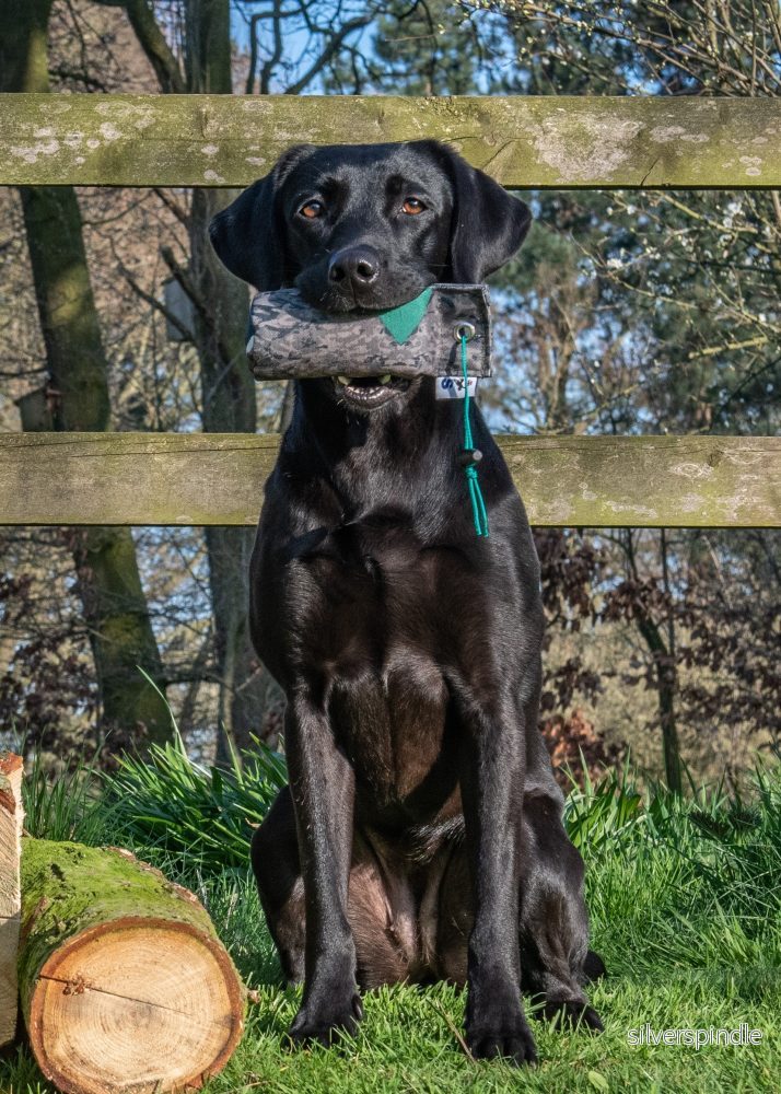 Sporting Saint - Gräsandsdummy 0,5 kg