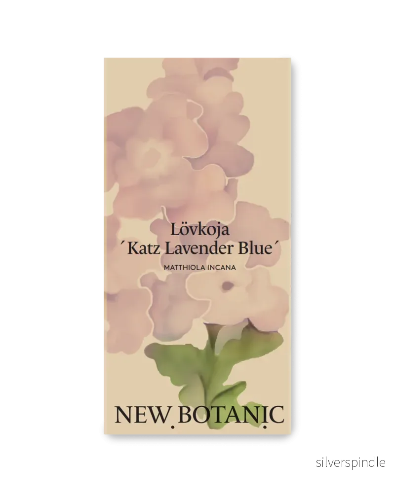Lövkoja ’Katz Lavender Blue’
