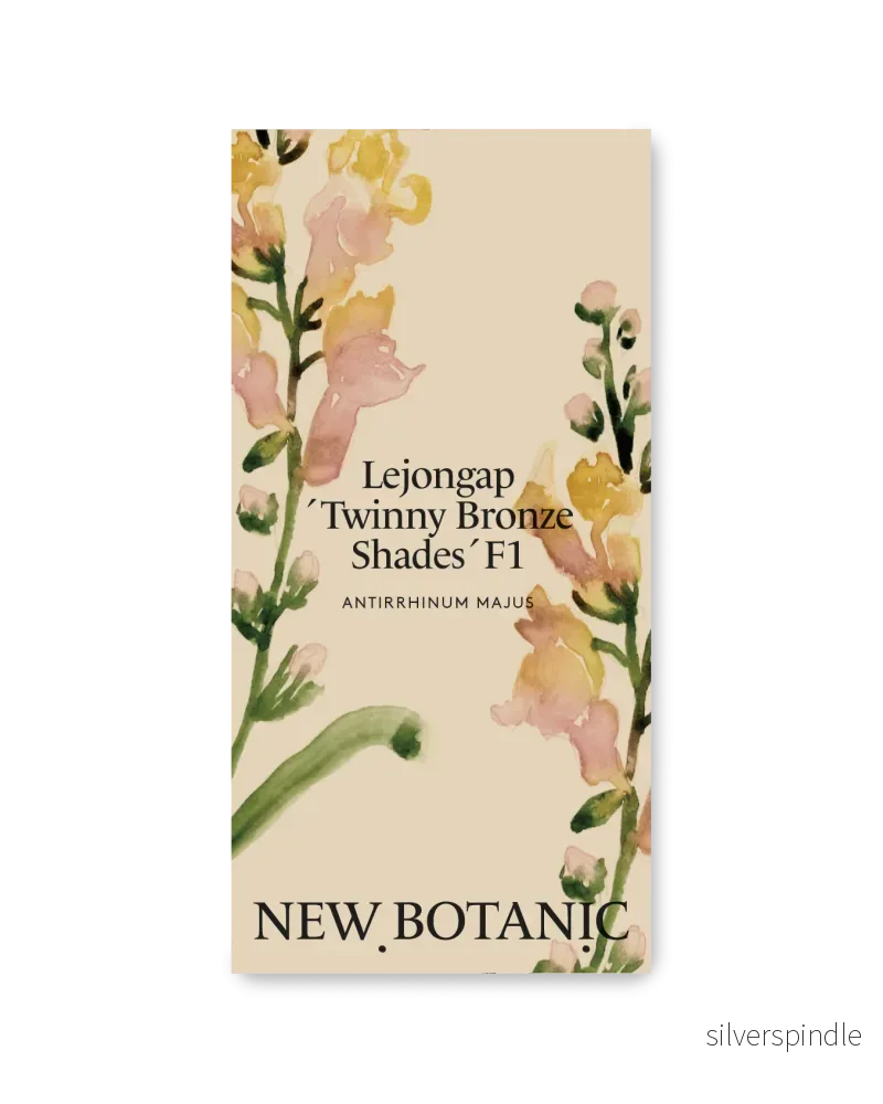 Lejongap ’Twinny Bronze Shades’ F1 Lejongap ’Twinny Bronze Shades’ F1