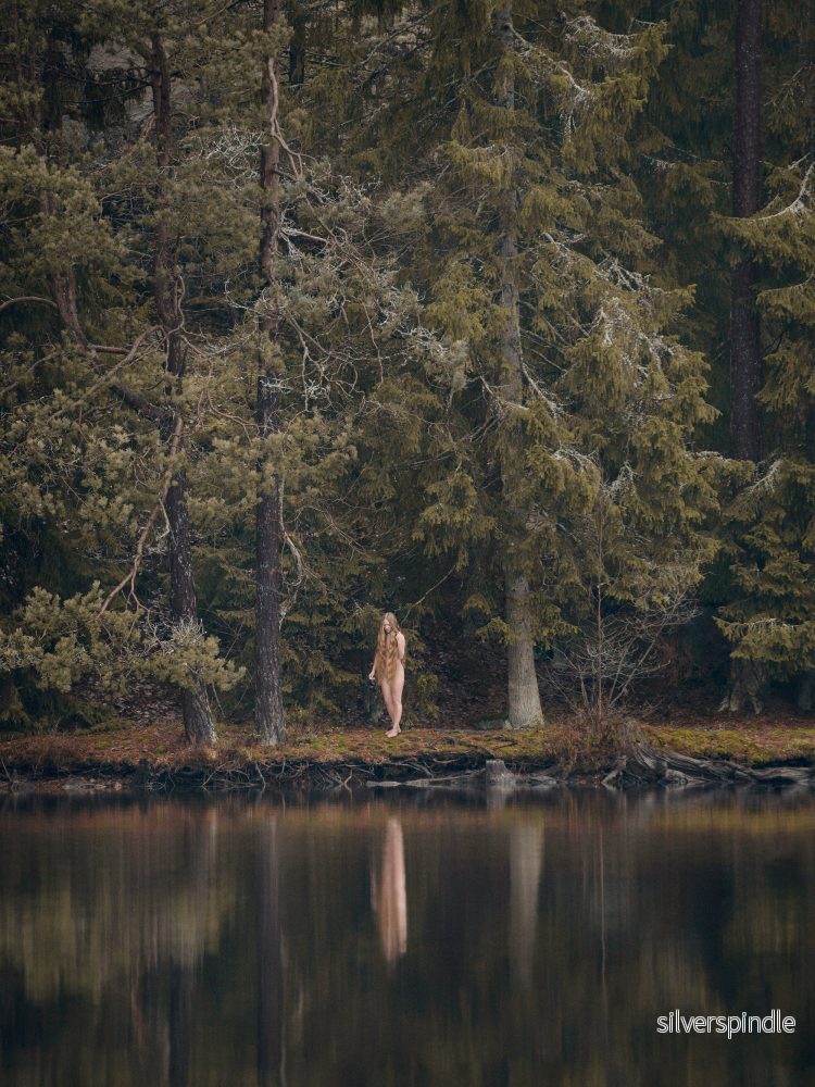 Tuvstarr vid tjärnen · Fine Art