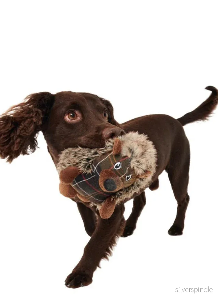 Barbour Dog Hedgehog Toy - Bild 3
