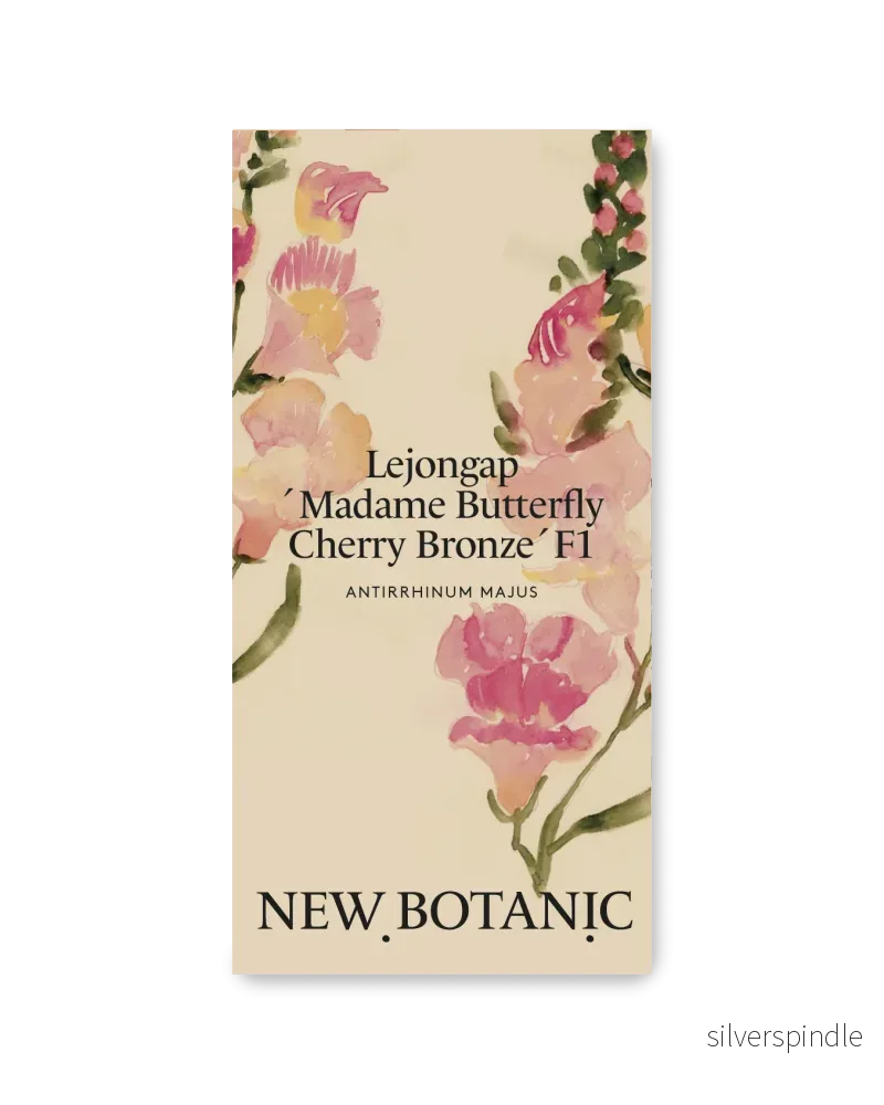 Lejongap ’Madame Butterfly Cherry Bronze’ F1 Lejongap ’Madame Butterfly Cherry Bronze’ F1