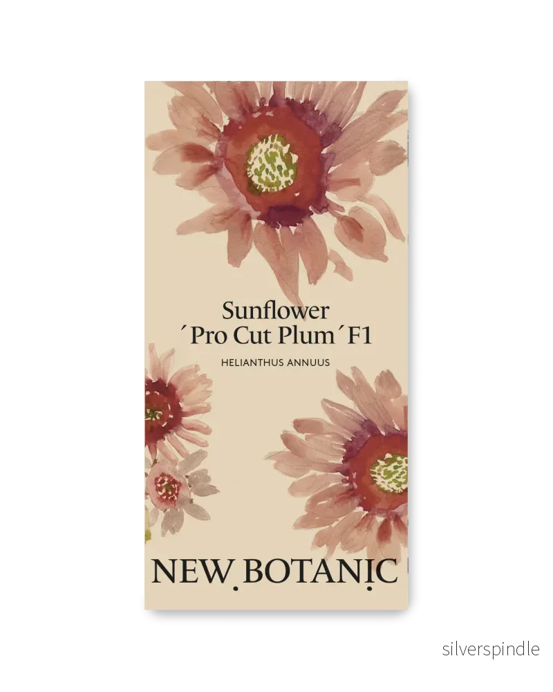Solros ’Pro Cut Plum’ F1 Solros ’Pro Cut Plum’ F1