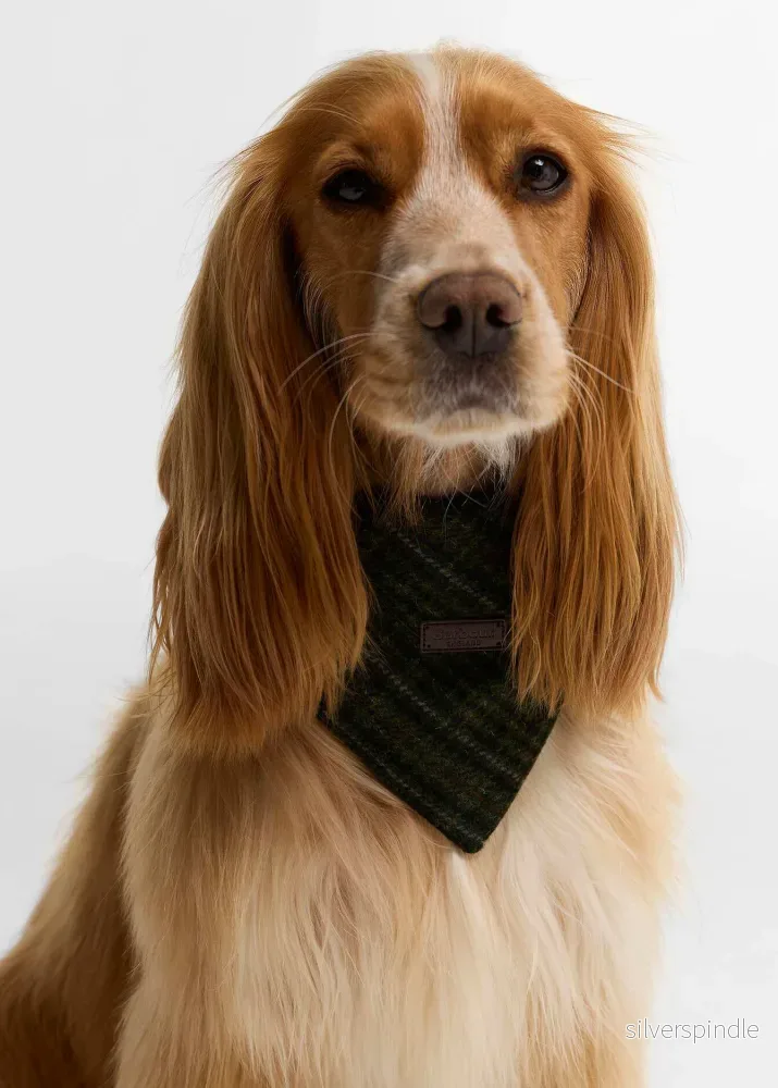 Barbour Dog Bandana Olive Barbour Dog Bandana Olive