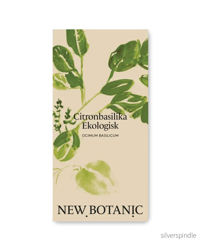 Citronbasilika Ekologisk