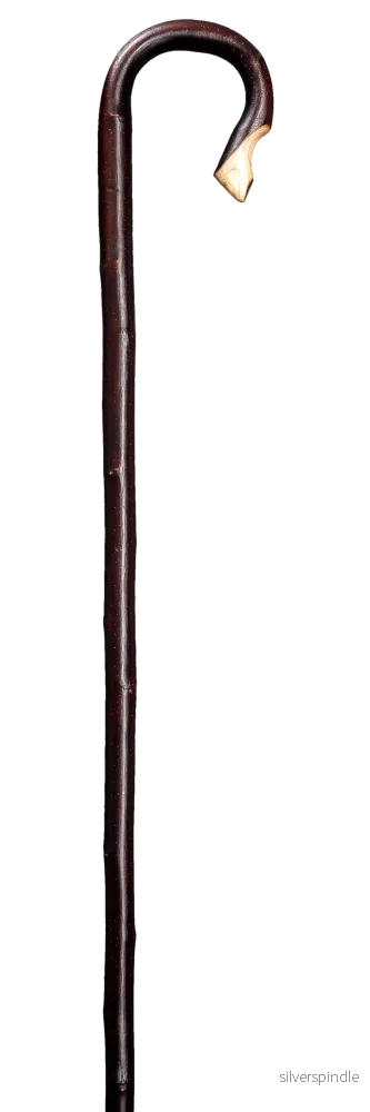 Herdestav kastanj – mörk bark