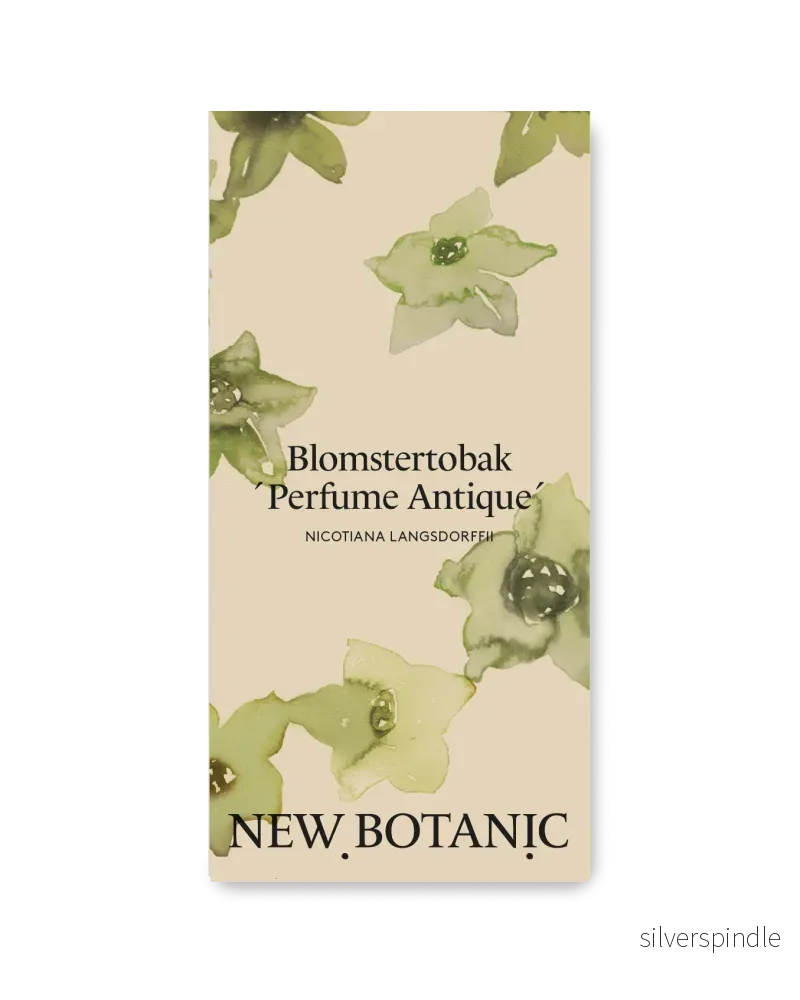 Blomstertobak ’Perfume Antique’ Blomstertobak ’Perfume Antique’