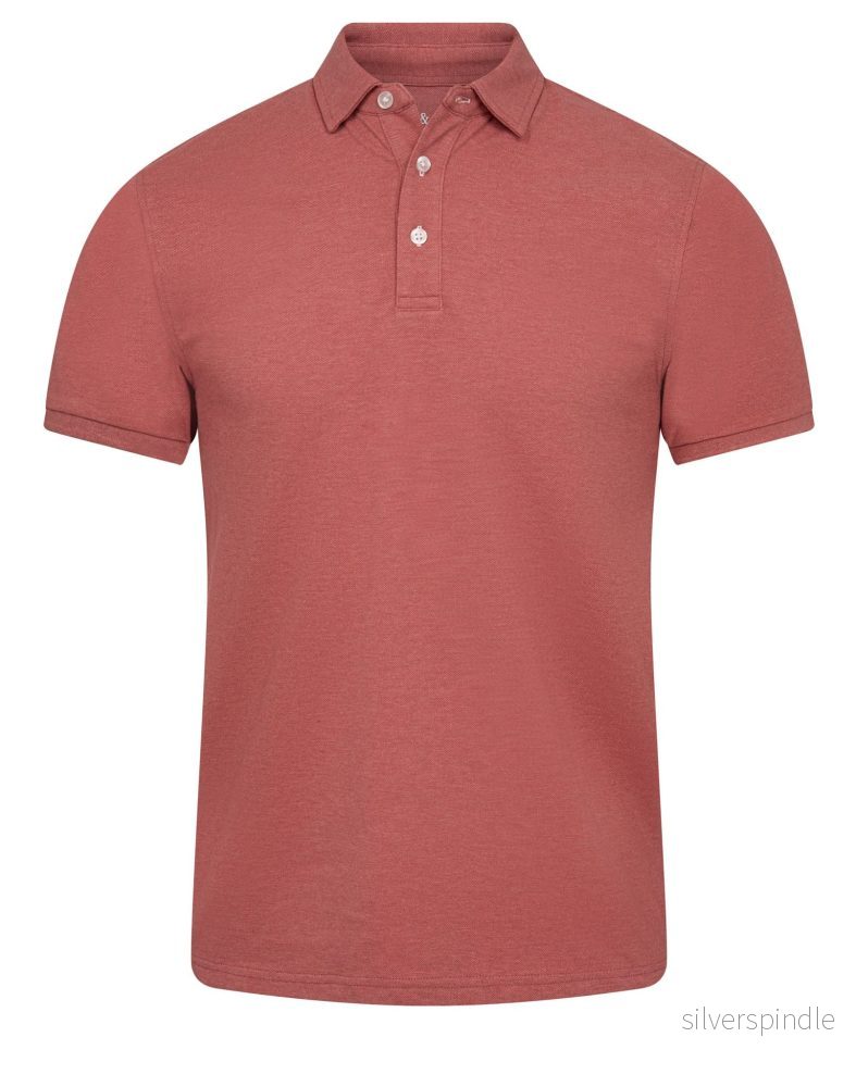 BS Taketomi Regular Fit Polo - Dusty Clay