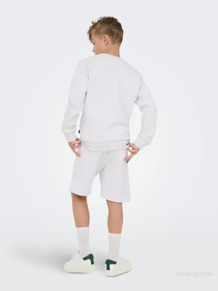 JR CERES CREW SUPER LIGHT GREY - Bild 2