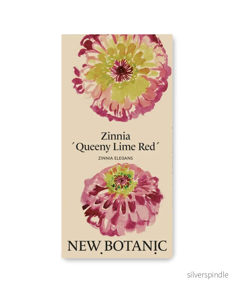 Zinnia ´Queeny Lime Red´