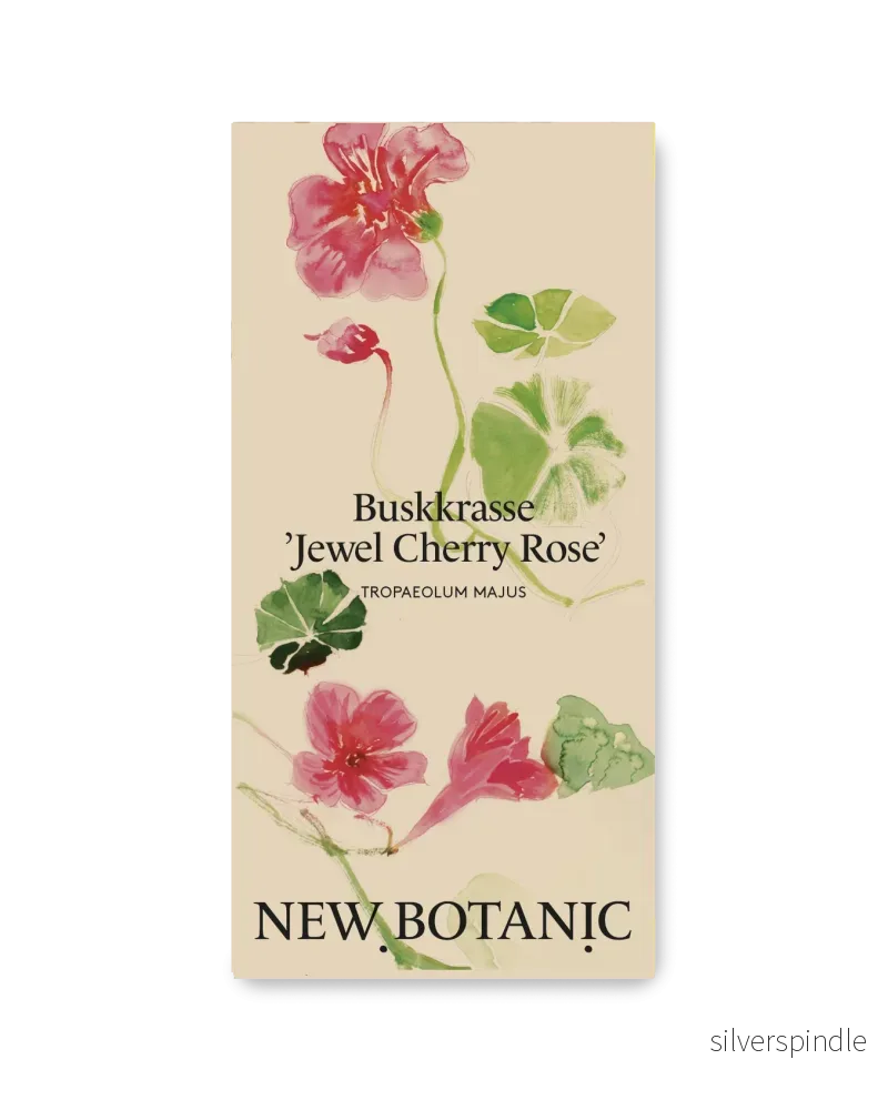 Buskkrasse 'Jewel Cherry Rose' - Nyhet!