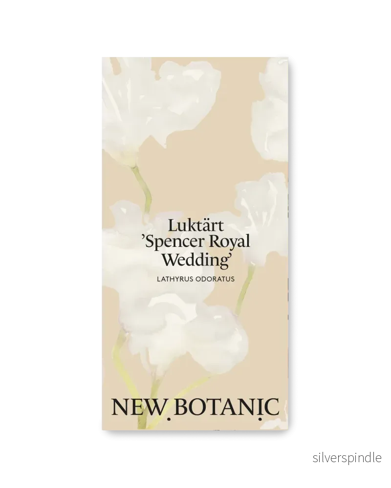 Luktärt 'Spencer Royal Wedding' - Nyhet!