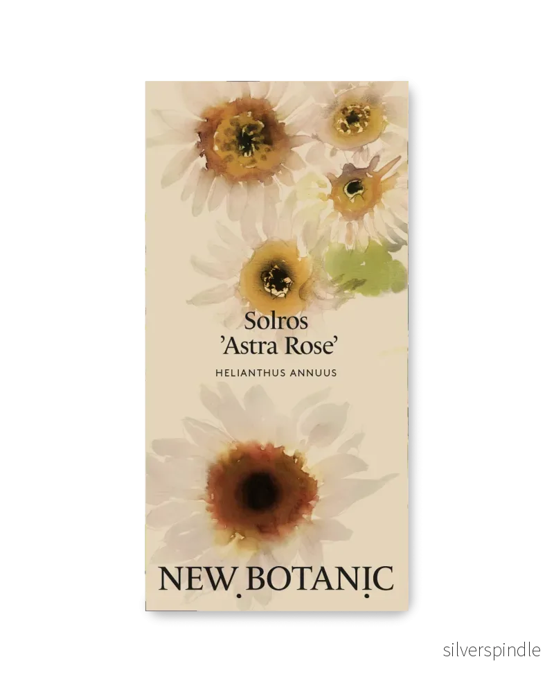 Solros ’Astra Rose’ – Nyhet!