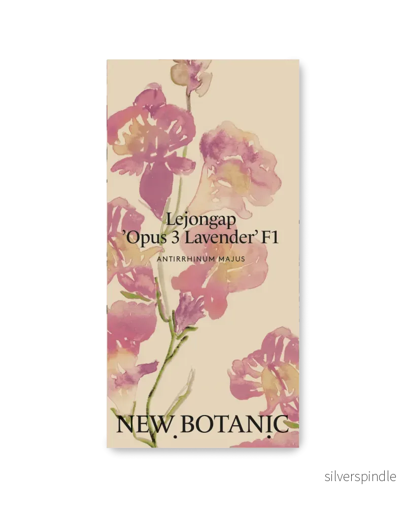 Lejongap 'Opus 3 Lavender' F1 - Nyhet!