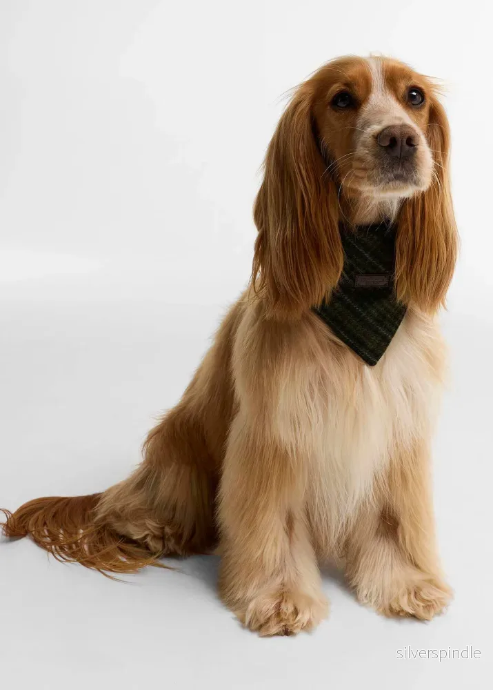 Barbour Dog Bandana Olive - Bild 2