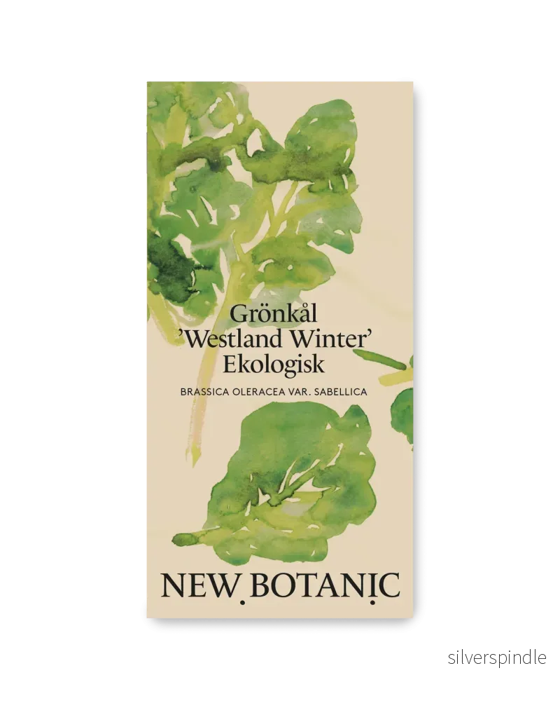 Grönkål 'Westland Winter' Ekologisk - Nyhet!