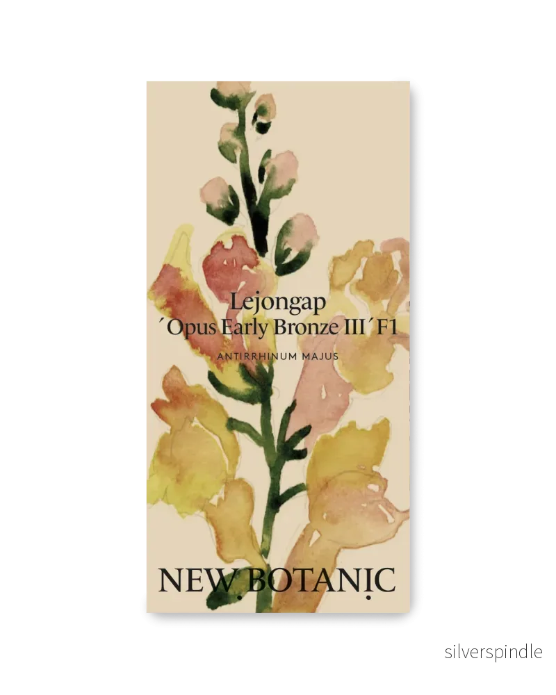 Lejongap 'Opus Early Bronze'