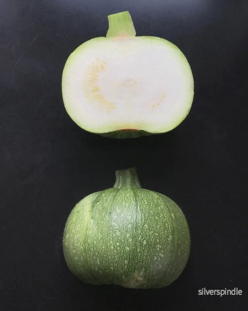 Zucchini 'Runde von Nizza' Ekologisk - Bild 3