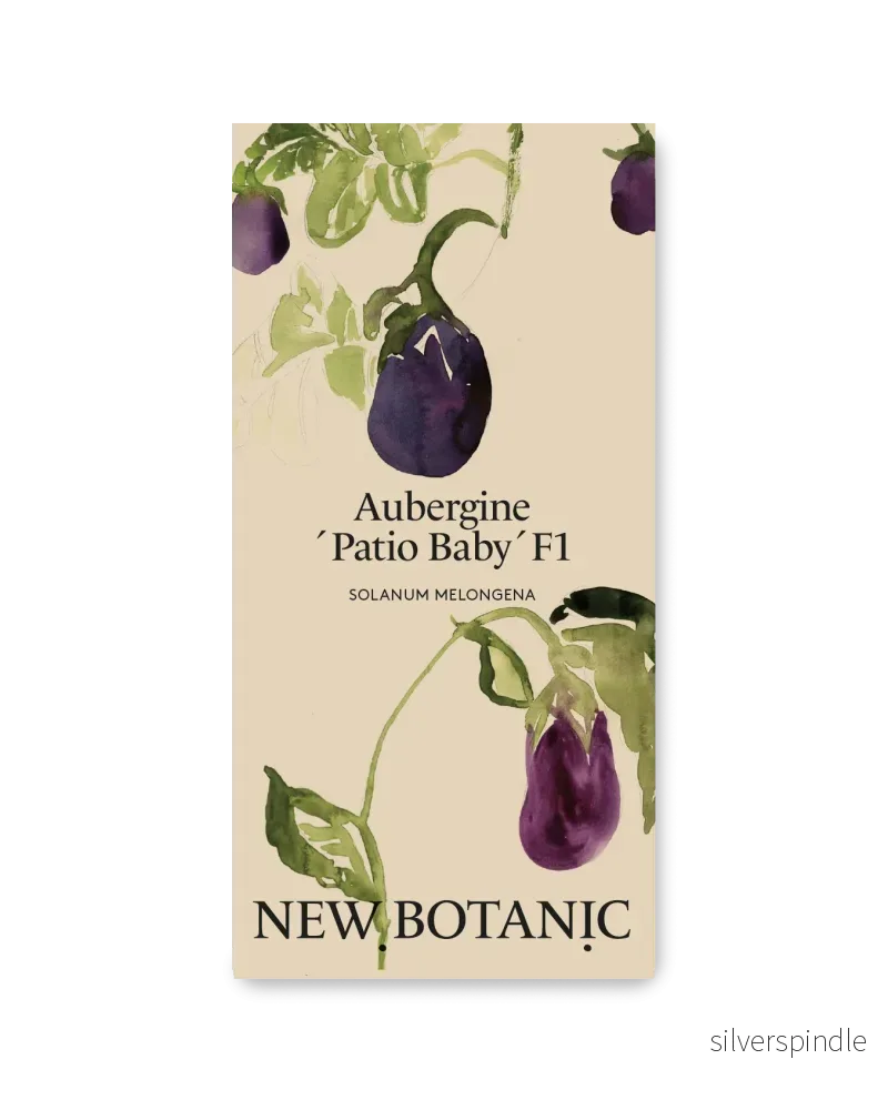 Aubergine ´Patio Baby´F1 - inomhusodling