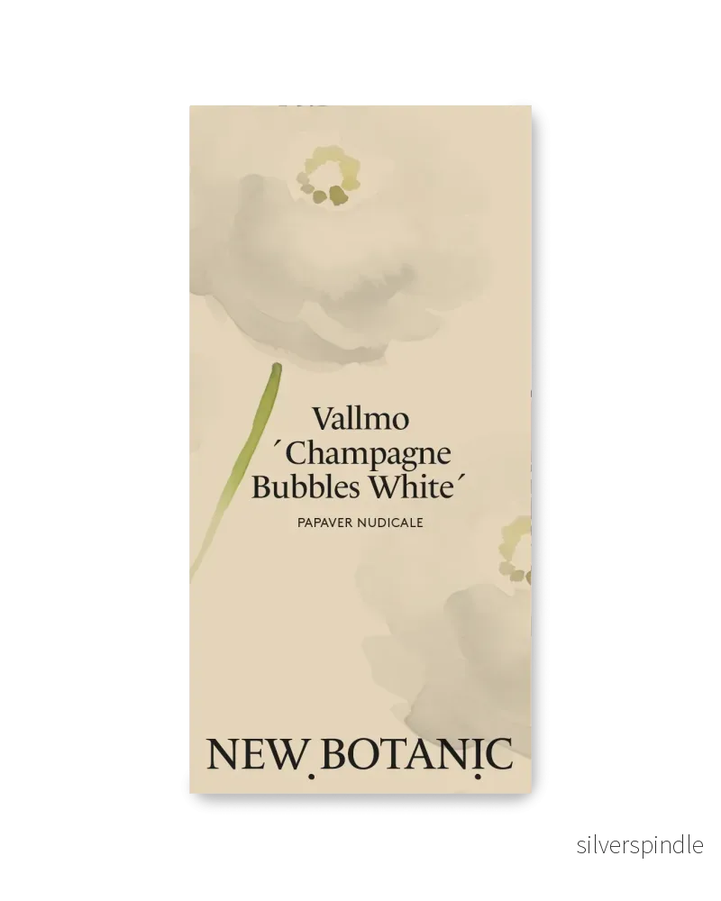 Vallmo 'Champagne Bubbles White'